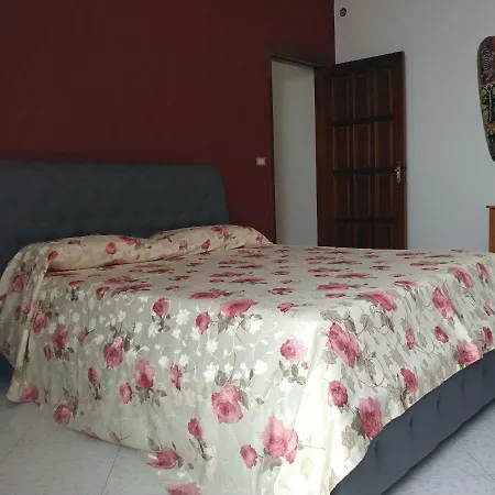 La Casa In Riva Al Mare 公寓 *